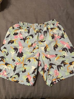 Patagonia Baggies Pastel Blue Floral Crane Shorts unisex, XS